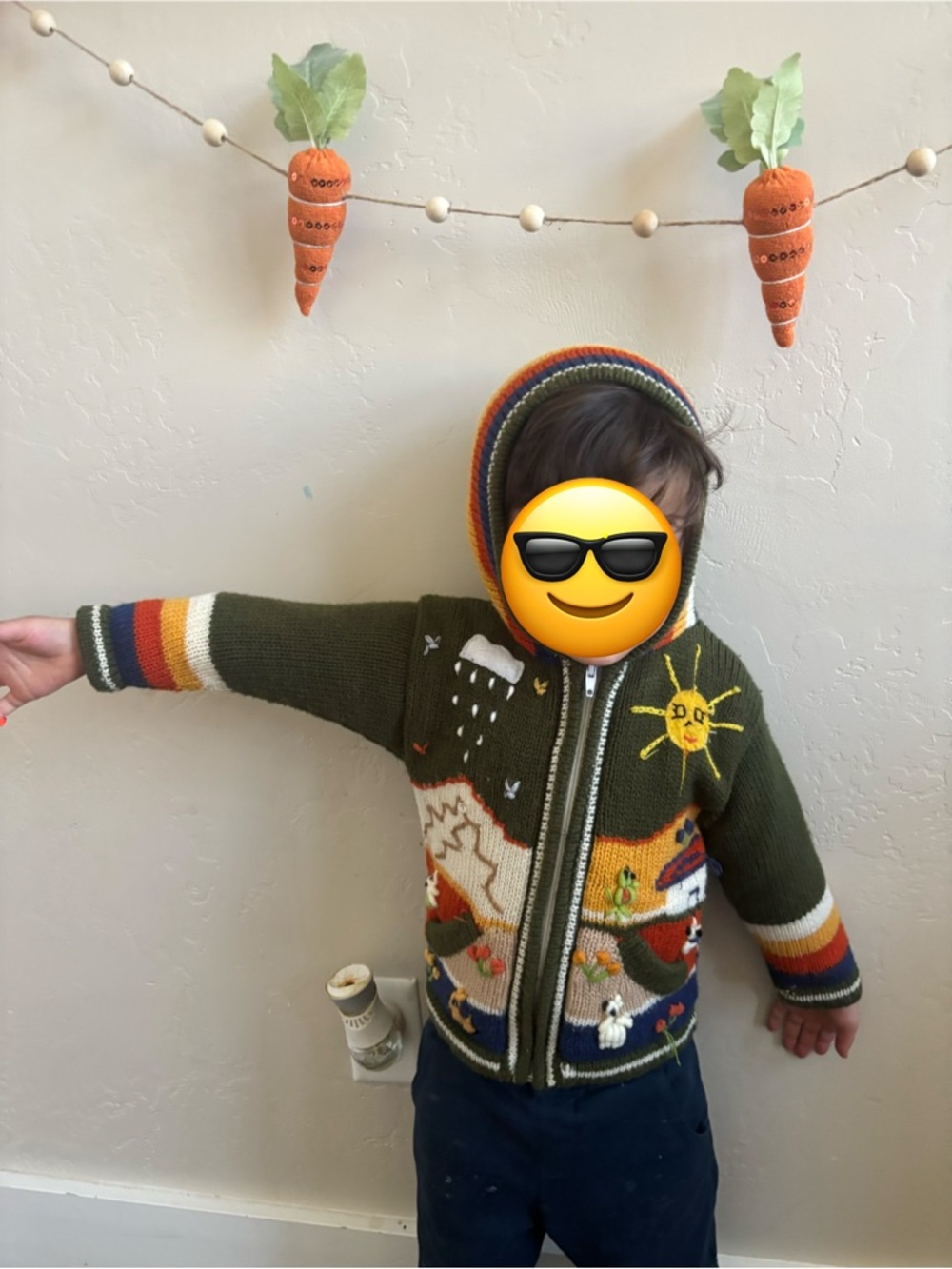 Andean South America jacket